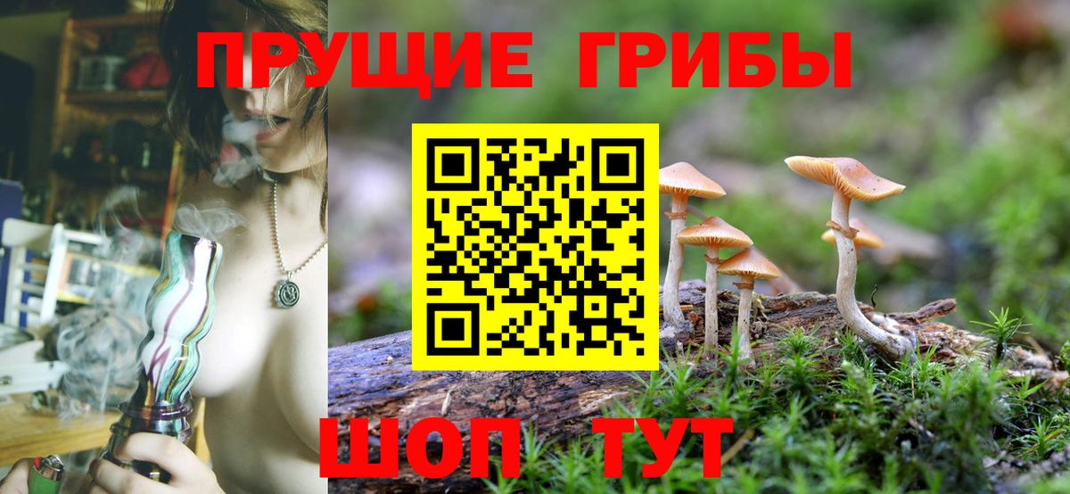 Псилоцибиновые грибы Magic Shrooms  Вход с VPN  Аргун 